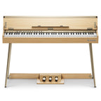 Donner DHP-100 PRO Piano digital de 88 teclas EC7462