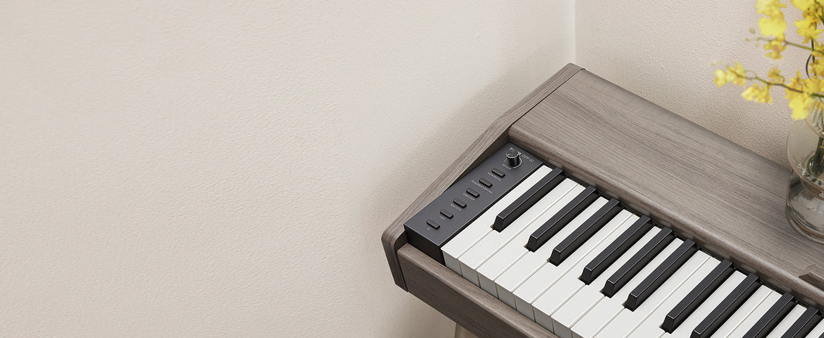 Donner DDP-60 Piano digital de 88 teclas EC6680