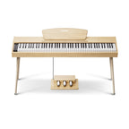 Donner DHP-100 PRO Piano digital de 88 teclas EC7464