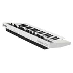 Sintetizador Analog Modeling Synt Reface CS - Yamaha