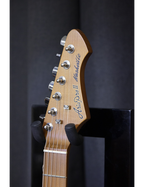 Aria® 615-MK2 Guitarra Eléctrica Nashville Telecaster® Style Flamed | Black Diamond