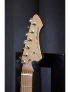 Aria® 615-MK2 Guitarra Eléctrica Nashville Telecaster® Style Flamed | Black Diamond