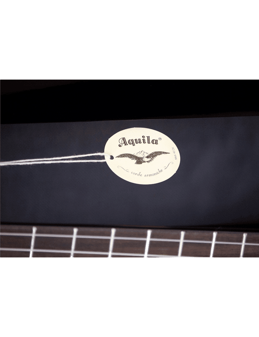 Aria Atu-120 Ukelele Guitarlele Acústico Tenor 6 Cuerdas