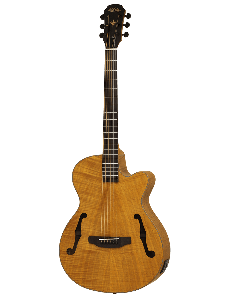 Aria® Fet F2 Guitarra Electroacústica Cutaway Con Funda| Stained Brown