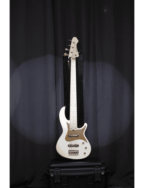 Aria Pro Ii Bajo Eléctrico 5 Cuerdas Rsb-618