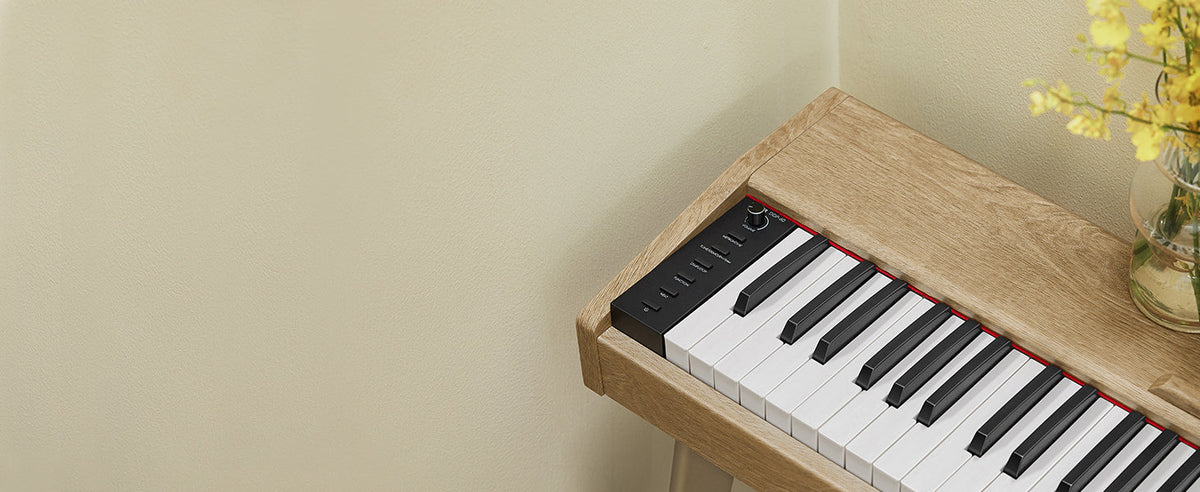 Donner DDP-60 Piano digital de 88 teclas EC6680