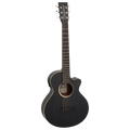 TB2CE Blackbird