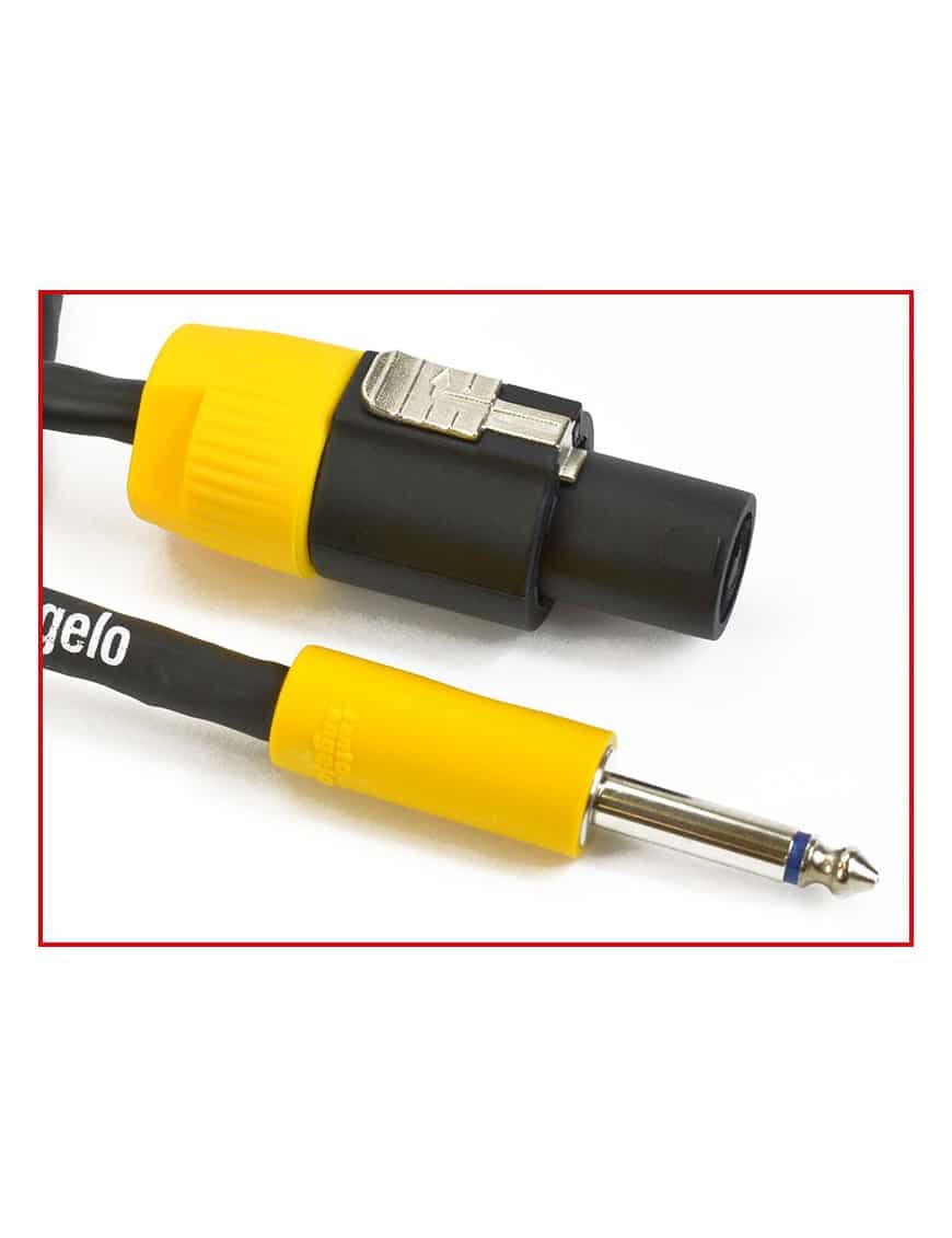 Santo Angelo Cable Cabezal-Gabinete Plug ¼" A Speakon Ofhc Largo: 1 Mt