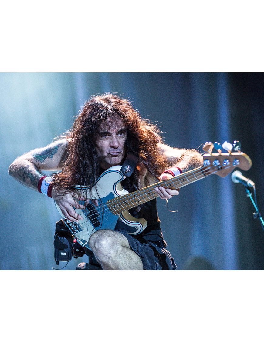 Seymour Duncan® SPB-4 Steve Harris Signature P-Bass® Cápsulas Bajo Eléctrico 4 Cuerdas Black
