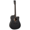 TB5CE Blackbird