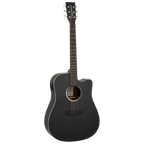 TB5CE Blackbird