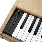 Donner DDP-60 Piano digital de 88 teclas EC6787