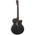 TB4CE Blackbird