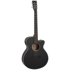 TB4CE Blackbird