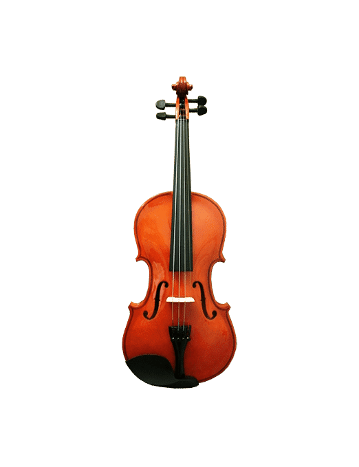 Montag Violín Mvgl 3/4 Estudio