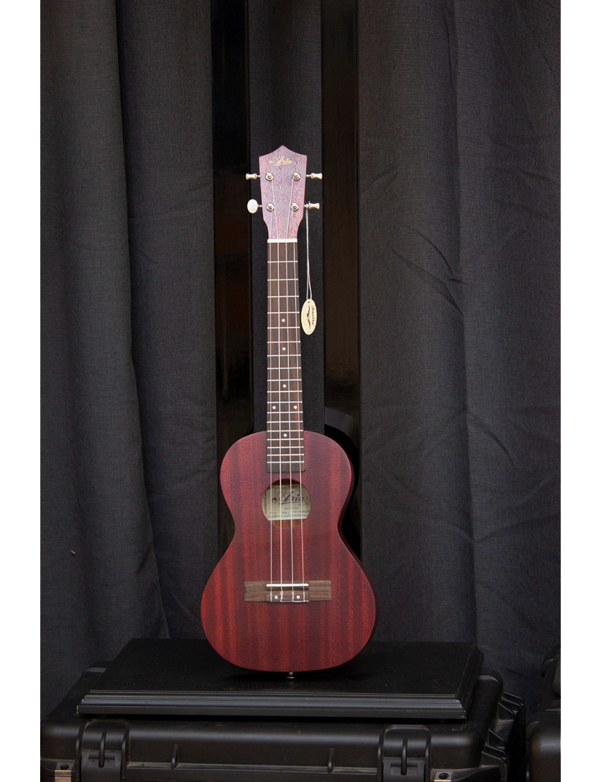 Aria Ukelele Acústico Tenor Color: Caoba Natural