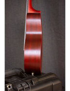 Aria Ukelele Acústico Tenor Color: Caoba Natural