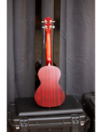 Aria Ukelele Acústico Tenor Color: Caoba Natural