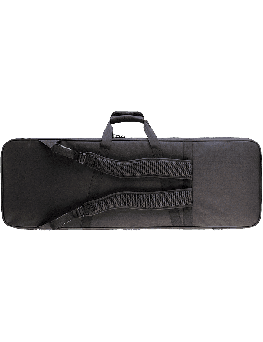 Skb Case Soft Guitarra Eléctrica 1skb-Sc66 Stratocaster/Telecaster